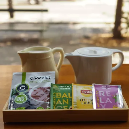 Ferney Republique Hotel *